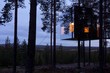 Treehotel – домики на деревьях для незаурядных путешественников Treehotel – домики на деревьях для незаурядных путешественников